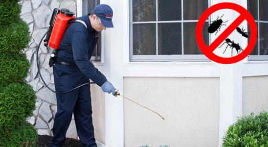 Selendi Gümüşkurt İlaçlama böcek ilaçlama ve haşere kontrolü — ilaclama-tr.com
